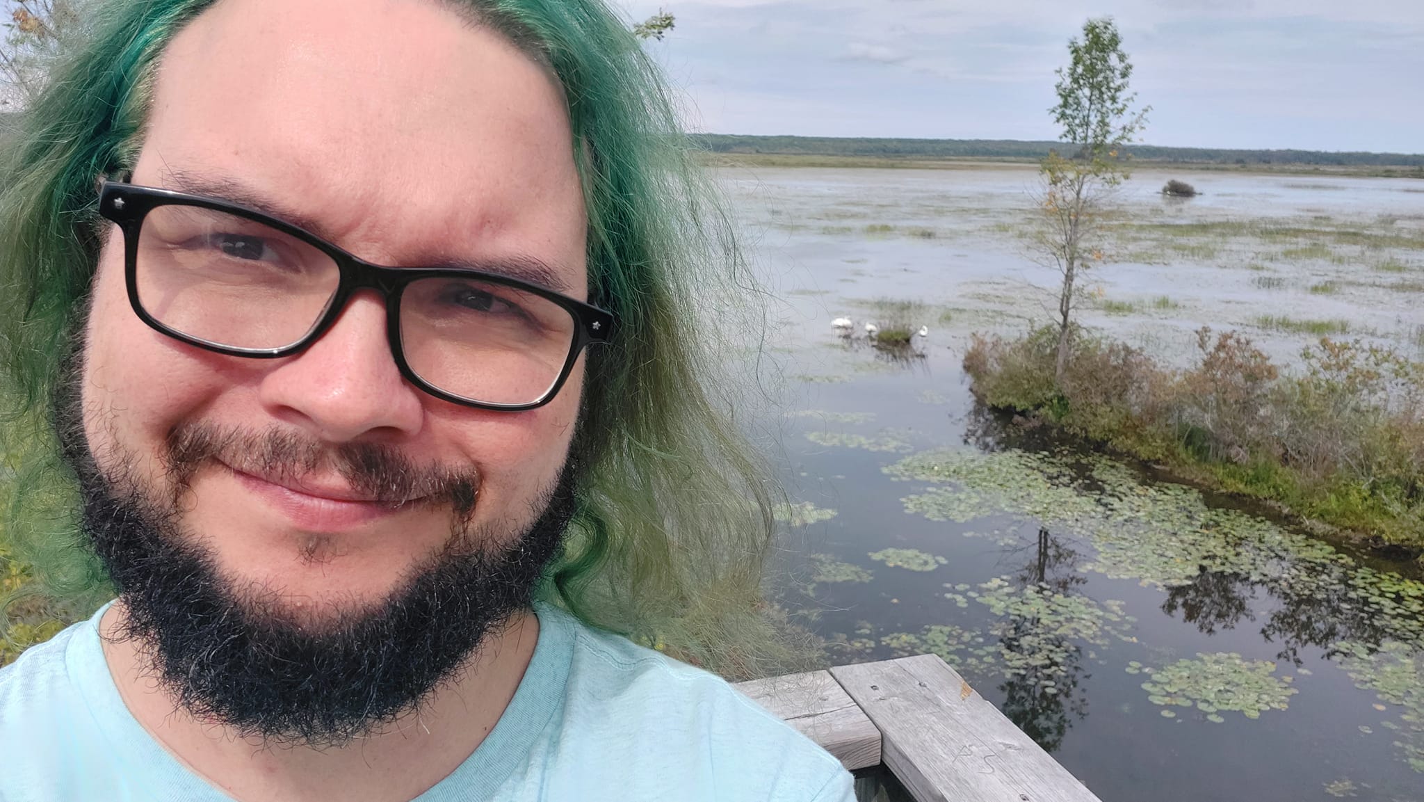 A man with green hair stands in front of some swimming swans, Photo 4